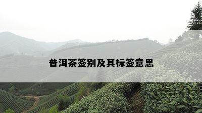 普洱茶签别及其标签意思