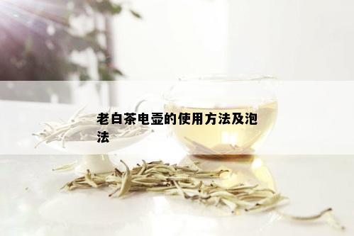 老白茶电壶的使用方法及泡法