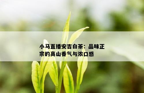 小马直播安吉白茶：品味正宗的高山香气与浓口感