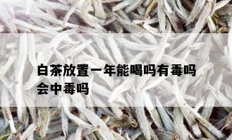 白茶放置一年能喝吗有吗会中吗