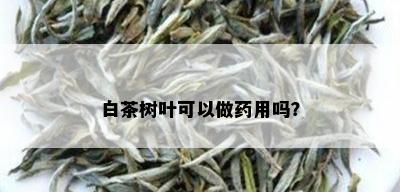 白茶树叶可以做用吗？