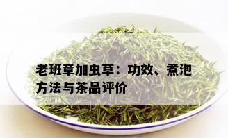 老班章加虫草：功效、煮泡方法与茶品评价