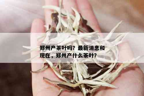 郑州产茶叶吗？最新消息和现在，郑州产什么茶叶？