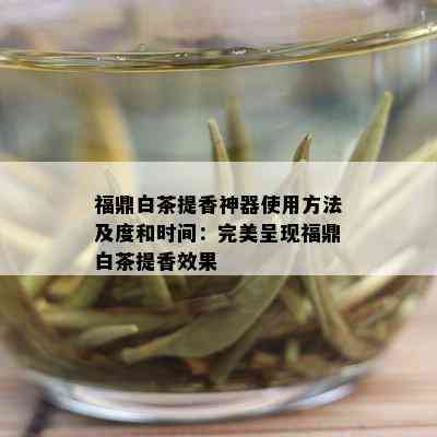 福鼎白茶提香神器使用方法及度和时间：完美呈现福鼎白茶提香效果