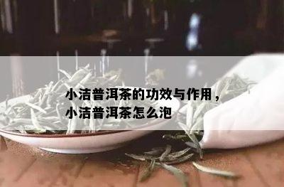 小洁普洱茶的功效与作用，小洁普洱茶怎么泡