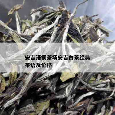 安吉语桐茶场安吉白茶经典茶语及价格