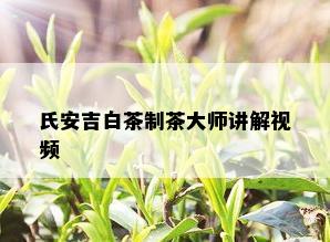 氏安吉白茶制茶大师讲解视频