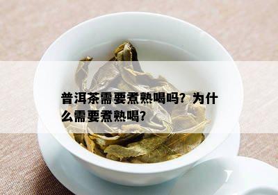 普洱茶需要煮熟喝吗？为什么需要煮熟喝？