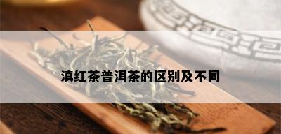 滇红茶普洱茶的区别及不同