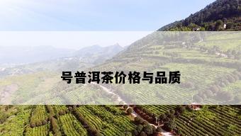 号普洱茶价格与品质