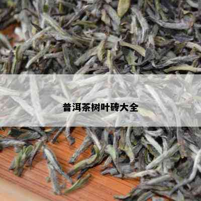 普洱茶树叶砖大全