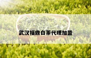 武汉福鼎白茶代理加盟