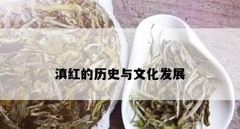 滇红的历史与文化发展