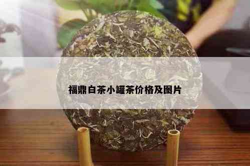 福鼎白茶小罐茶价格及图片