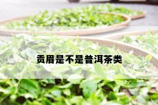 贡眉是不是普洱茶类