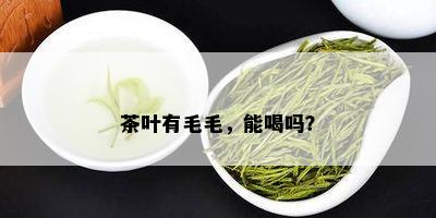 茶叶有毛毛，能喝吗？