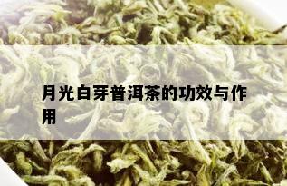 月光白芽普洱茶的功效与作用