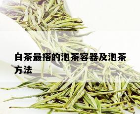 白茶最搭的泡茶容器及泡茶方法