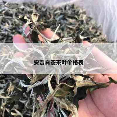 安吉白茶茶叶价格表