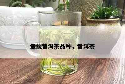 最靓普洱茶品种，普洱茶