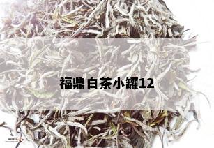 福鼎白茶小罐12