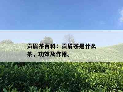 贡眉茶百科：贡眉茶是什么茶，功效及作用。