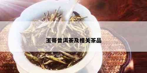 玉哥普洱茶及相关茶品