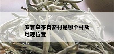 安吉白茶自然村是哪个村及地理位置