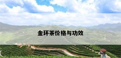 金环茶价格与功效