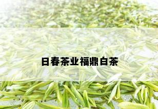 日春茶业福鼎白茶