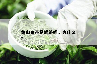 黄山白茶是绿茶吗，为什么？