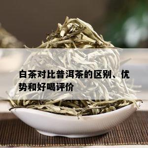 白茶对比普洱茶的区别、优势和好喝评价