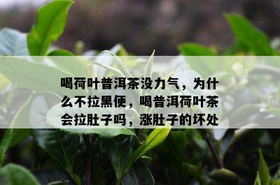 喝荷叶普洱茶没力气，为什么不拉黑便，喝普洱荷叶茶会拉肚子吗，涨肚子的坏处