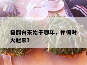 福鼎白茶始于哪年，并何时火起来？