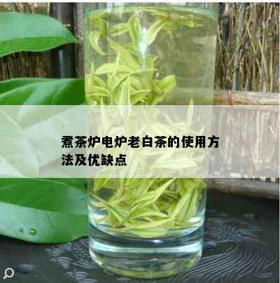 煮茶炉电炉老白茶的使用方法及优缺点