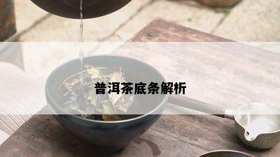 普洱茶底条解析