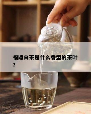 福鼎白茶是什么香型的茶叶？