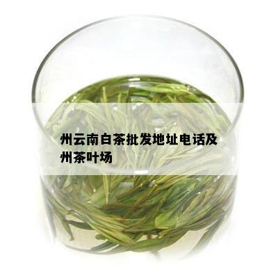 州云南白茶批发地址电话及州茶叶场