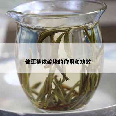 普洱茶浓缩块的作用和功效