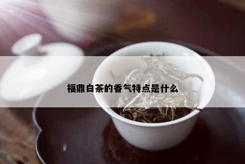 福鼎白茶的香气特点是什么