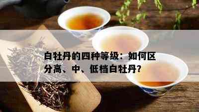 白牡丹的四种等级：如何区分高、中、低档白牡丹？