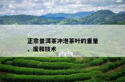 正宗普洱茶冲泡茶叶的重量、度和技术