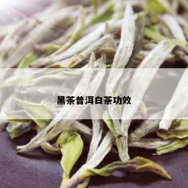 黑茶普洱白茶功效