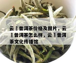 云楨普洱茶价格及图片，云楨普洱茶怎么样，云楨普洱茶文化传播馆