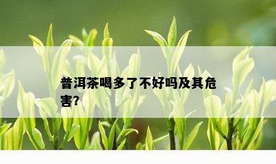 普洱茶喝多了不好吗及其危害？