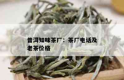 普洱知味茶厂：茶厂电话及老茶价格