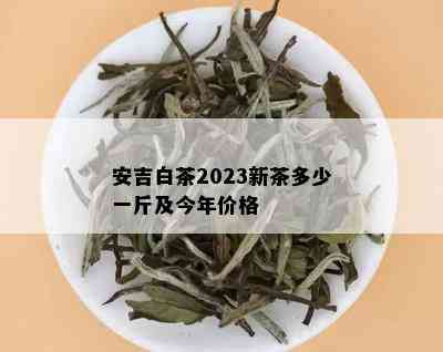 安吉白茶2023新茶多少一斤及今年价格