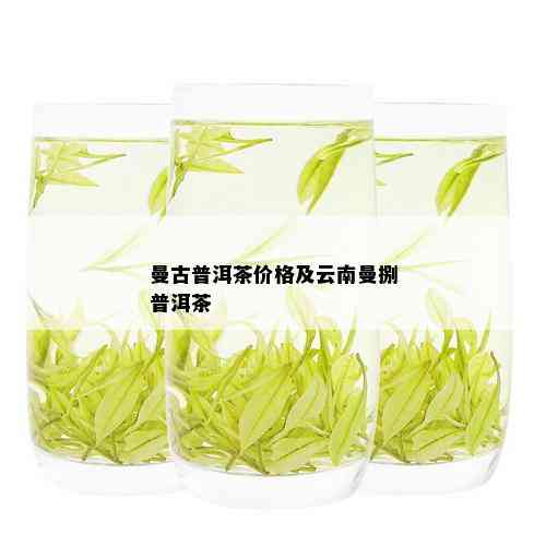 曼古普洱茶价格及云南曼捌普洱茶