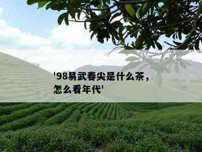 '98易武春尖是什么茶，怎么看年代'