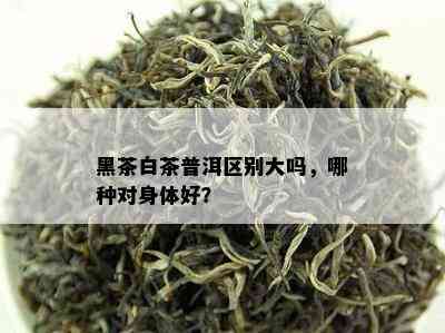 黑茶白茶普洱区别大吗，哪种对身体好？